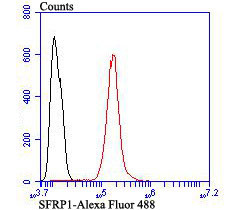 SFRP1 Antibody in Flow Cytometry (Flow)