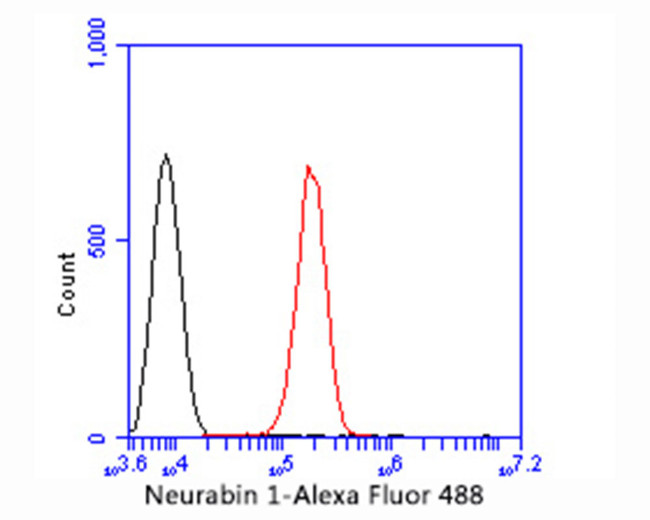 PPP1R9A Antibody in Flow Cytometry (Flow)
