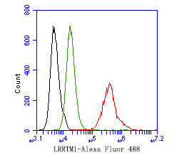 LRRTM1 Antibody in Flow Cytometry (Flow)