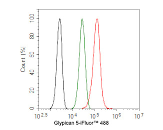Glypican 5 Antibody in Flow Cytometry (Flow)