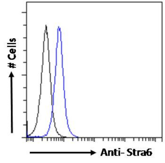 STRA6 Antibody in Flow Cytometry (Flow)