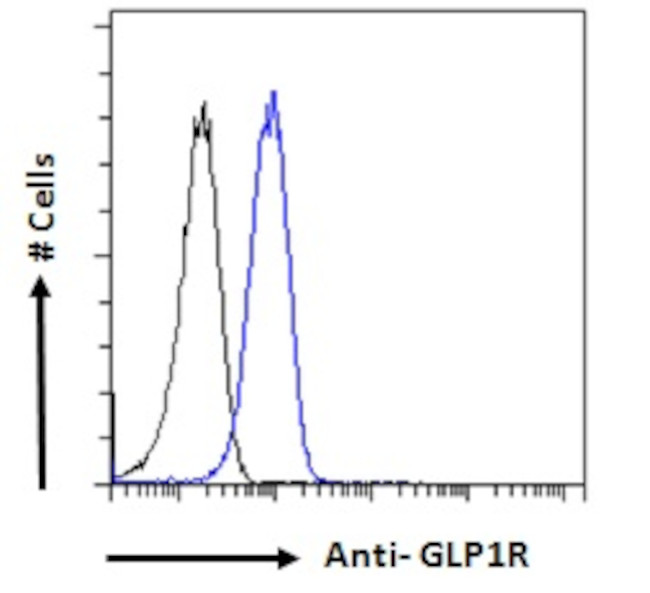 GLP1R Antibody in Flow Cytometry (Flow)