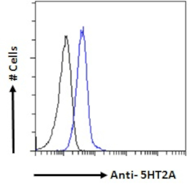HTR2A Antibody in Flow Cytometry (Flow)