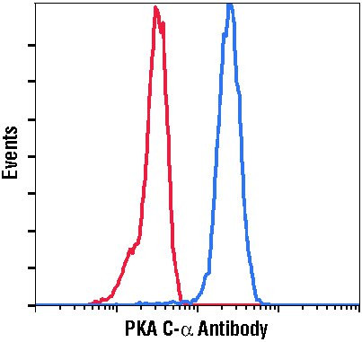 PKA alpha Antibody in Flow Cytometry (Flow)