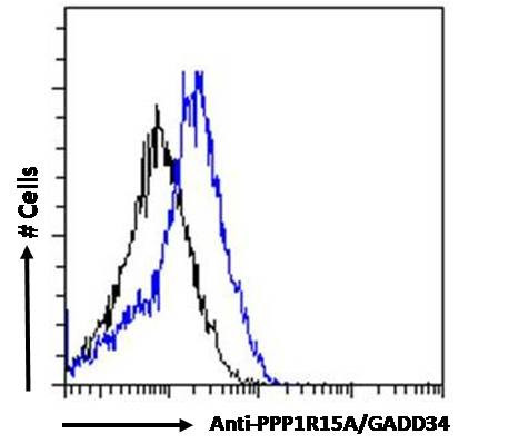 GADD34 Antibody in Flow Cytometry (Flow)
