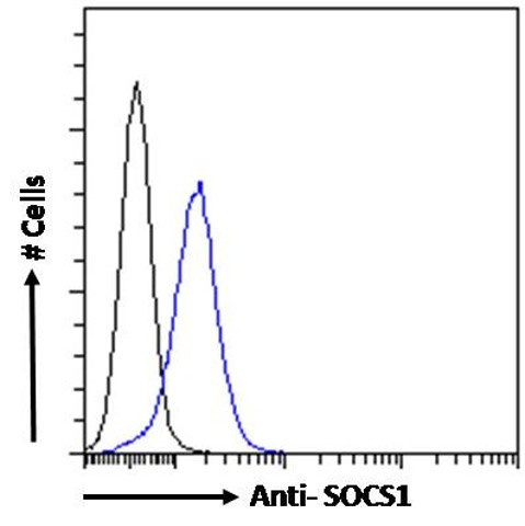 SOCS1 Antibody in Flow Cytometry (Flow)