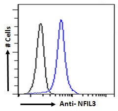 NFIL3 Antibody in Flow Cytometry (Flow)