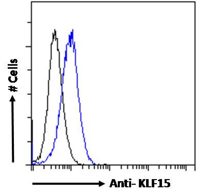 KLF15 Antibody in Flow Cytometry (Flow)