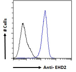 EHD2 Antibody in Flow Cytometry (Flow)