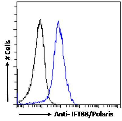 IFT88 Antibody in Flow Cytometry (Flow)