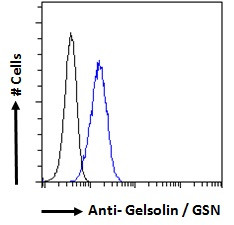 Gelsolin Antibody in Flow Cytometry (Flow)