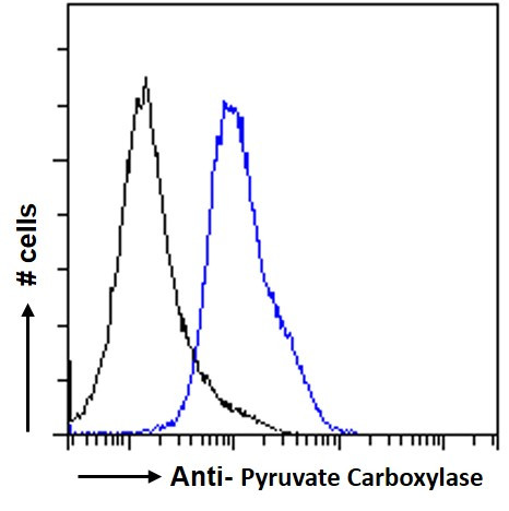 Pyruvate Carboxylase Antibody in Flow Cytometry (Flow)