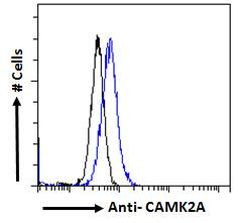 CaMKII alpha Antibody in Flow Cytometry (FLOW)
