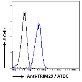 TRIM29 Antibody in Flow Cytometry (Flow)