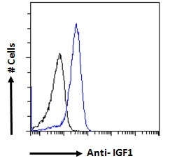 IGF1 Antibody in Flow Cytometry (Flow)