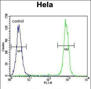 Carboxypeptidase B1 Antibody in Flow Cytometry (Flow)