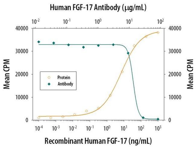FGF17 Antibody