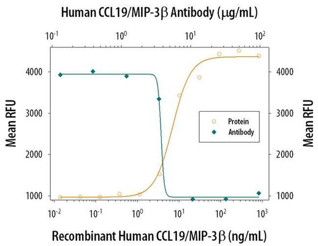 MIP-3 beta Antibody