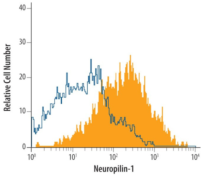 Neuropilin 1 Antibody in Flow Cytometry (Flow)