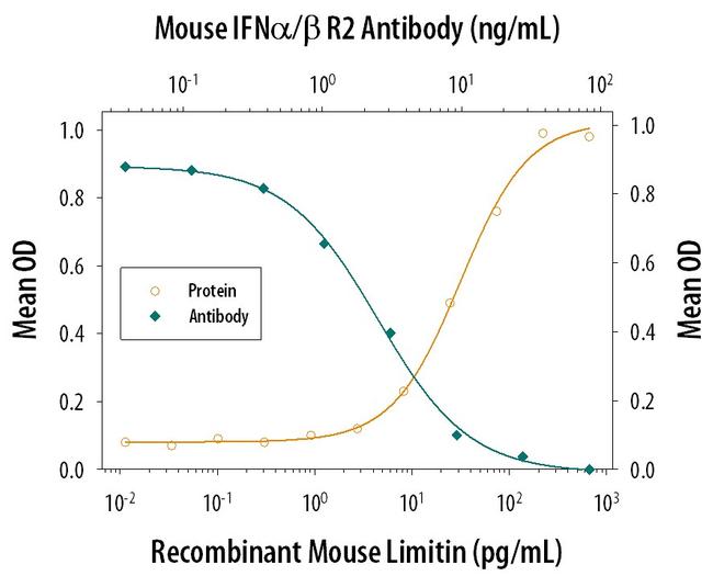 IFNAR2 Antibody in Neutralization (Neu)