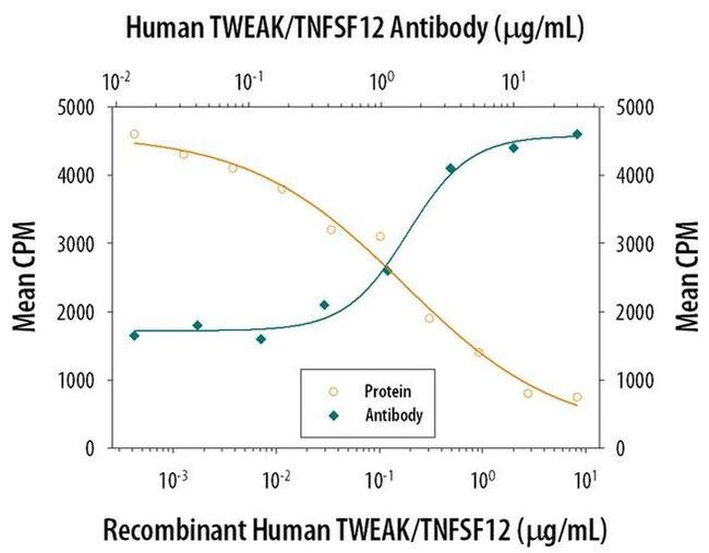 TWEAK Antibody