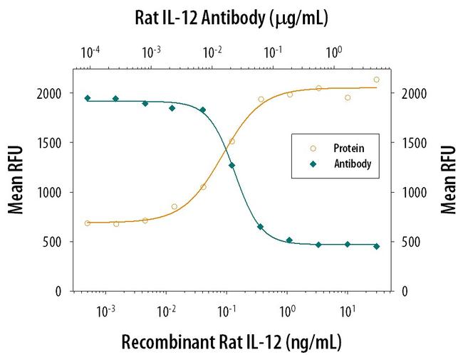 IL-12 p40 Antibody in Neutralization (Neu)
