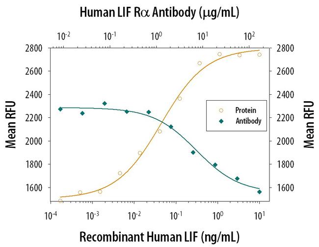 LIFR Antibody in Neutralization (Neu)