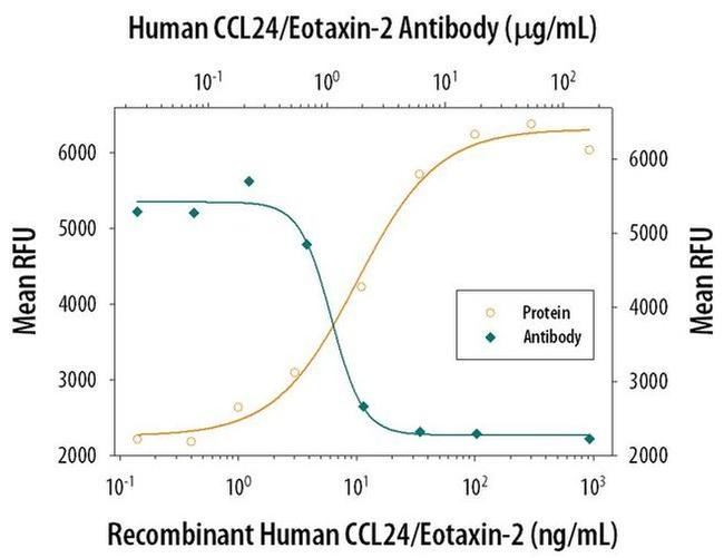 Eotaxin 2 Antibody