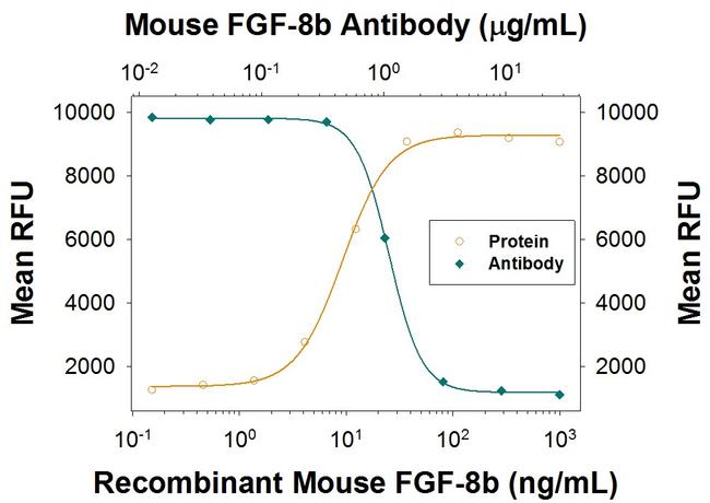 FGF8 Antibody in Neutralization (Neu)
