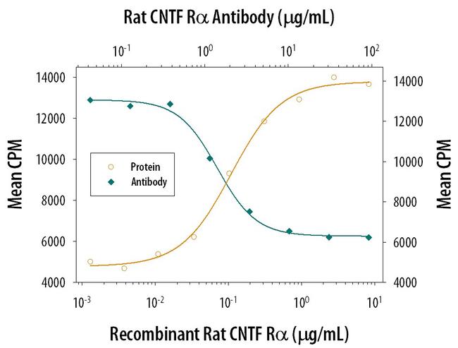 CNTFR Antibody in Neutralization (Neu)