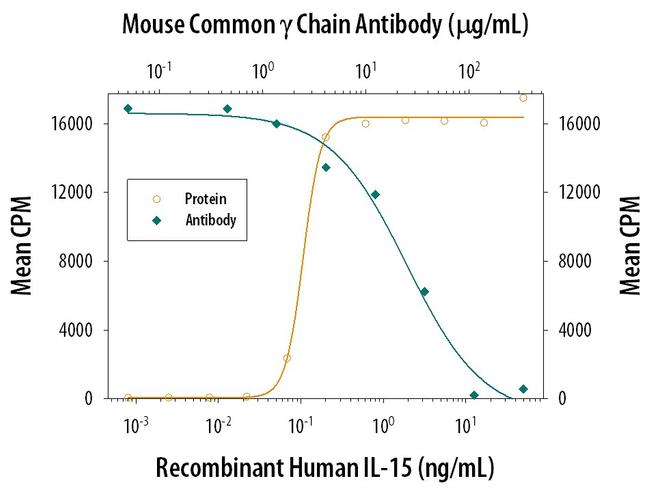 IL2RG Antibody in Neutralization (Neu)