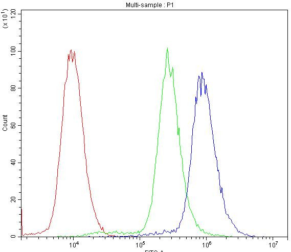 Cytochrome P450 Reductase Antibody in Flow Cytometry (Flow)