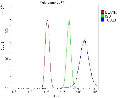 Beta III Tubulin Antibody in Flow Cytometry (Flow)