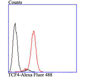 TCF7L2 Antibody in Flow Cytometry (Flow)