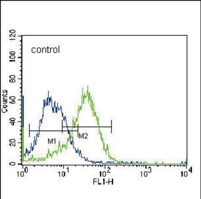 FADS2 Antibody in Flow Cytometry (Flow)