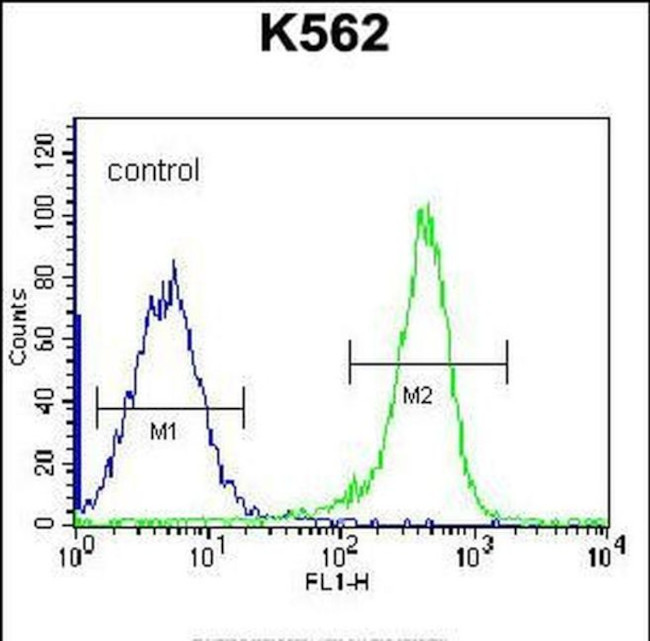 PSTPIP1 Antibody in Flow Cytometry (Flow)