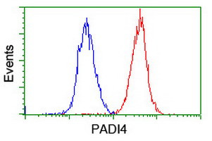 PADI4 Antibody in Flow Cytometry (Flow)