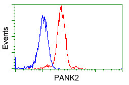 PANK2 Antibody in Flow Cytometry (Flow)