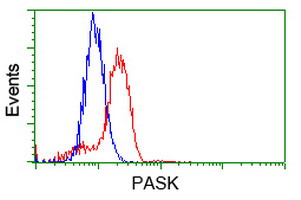 PASK Antibody in Flow Cytometry (Flow)
