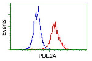 PDE2A Antibody in Flow Cytometry (Flow)