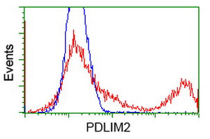 PDLIM2 Antibody in Flow Cytometry (Flow)