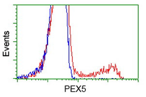 PEX5 Antibody in Flow Cytometry (Flow)