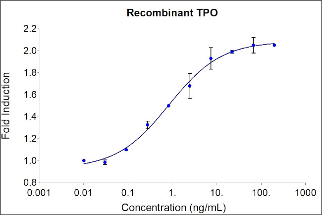 Human TPO (Thrombopoietin) Protein in Functional Assay (FN)