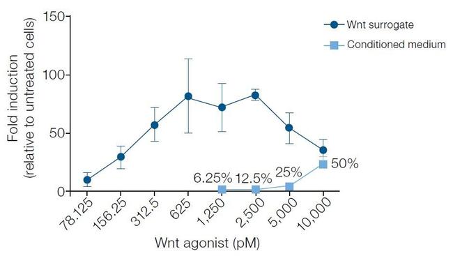 Wnt Surrogate-Fc Fusion Protein in Functional Assay (FN)