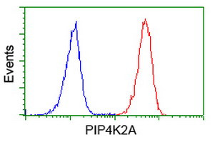 PIP4K2A Antibody in Flow Cytometry (Flow)