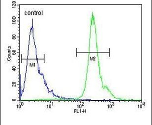 PNPLA8 Antibody in Flow Cytometry (Flow)