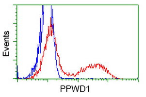 PPWD1 Antibody in Flow Cytometry (Flow)