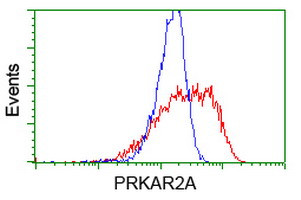 PRKAR2A Antibody in Flow Cytometry (Flow)