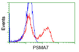 PSMA7 Antibody in Flow Cytometry (Flow)
