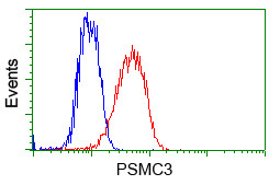 PSMC3 Antibody in Flow Cytometry (Flow)